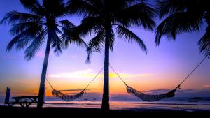 two palm trees with hammocks on the beach at sunset at Bohol Beach Club in Panglao Island