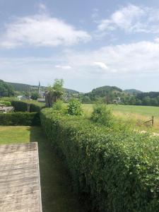 een heg naast een houten loopbrug naast een veld bij Heaven in Treignes