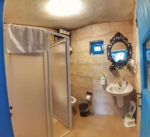 a bathroom with a shower and a toilet and a sink at Alterna Köy Evi in Sokakagzi