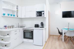 Kuchyňa alebo kuchynka v ubytovaní Forrás Apartman