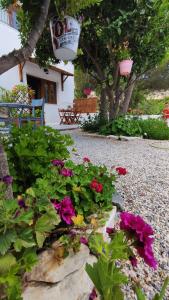 a garden with flowers in front of a house at Dreamcatcher of Zeus in Philotium