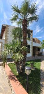 a palm tree in front of a house at VILLA MARIANNA CON PISCINA PRIVATA ampi spazi esterni e WIFI FREE in Trabia