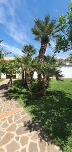 A garden outside VILLA MARIANNA CON PISCINA PRIVATA ampi spazi esterni e WIFI FREE