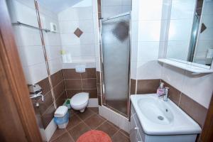 a bathroom with a shower and a sink and a toilet at Ferienhaus Elena in Karlobag +28 photos