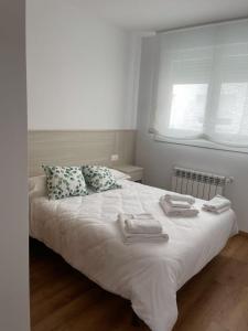 Cama ou camas em um quarto em Apartamento entero en Sigüeiro a pie del camino inglés