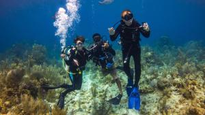 three people scuba diving over a coral reef at Portofino Beach Resort-An Authentic Island Escape! in San Pedro
