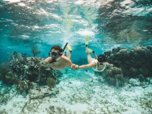 two people swimming in a coral reef at Portofino Beach Resort-An Authentic Island Escape! in San Pedro