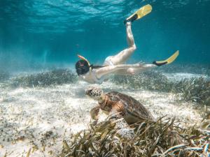 a person swimming in the ocean next to a turtle at Portofino Beach Resort-An Authentic Island Escape! in San Pedro