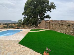 a large yard with green grass next to a stone wall at CASA RURAL LA VEGUILLA in Fuente del Arco