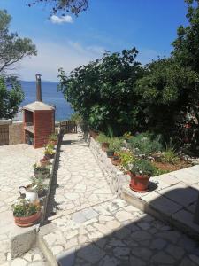 Príroda v okolí apartmánu