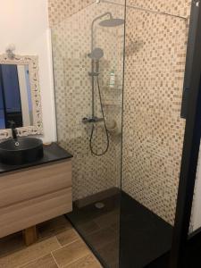 y baño con ducha, lavabo y espejo. en Quiniere - Entre Lac et Forêt, en Blois
