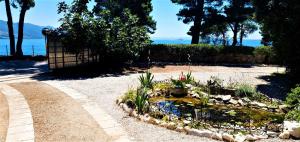 Fotografie z fotogalerie ubytování Beachfront apartments Kate v destinaci Orebić