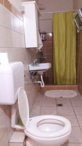 a bathroom with a toilet and a sink at Antonioy Apartment Metewra in Kalabaka