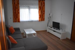 Apartman Rukavina في Ličko Petrovo Selo: غرفة معيشة مع أريكة وتلفزيون