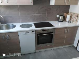 a kitchen with a stove top oven next to a sink at Markaz Apartman Bihac in Bihać