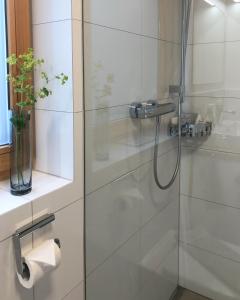 baño con ducha y puerta de cristal en Ferienwohnung Schnepfau 24, en Schnepfau