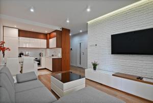 Kuchnia lub aneks kuchenny w obiekcie Apartamenty Prestige Browar Lubicz Stare Miasto