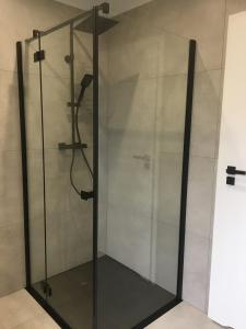 W łazience znajduje się prysznic ze szklanymi drzwiami. w obiekcie Apartamenty Black&White Lubawka - Domek z ruską banią i sauną w mieście Lubawka
