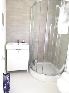 bagno con doccia, lavandino e servizi igienici di Maes Hyfryd a Gaerwen