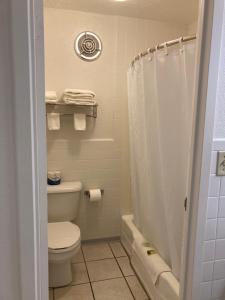 a bathroom with a toilet and a shower at Hills Inn in Hot Springs