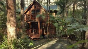Gallery image of Springbrook Mountain Chalets in Springbrook