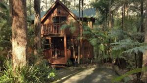 Zahrada ubytování Springbrook Mountain Chalets