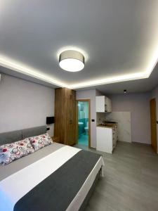 sypialnia z dużym łóżkiem i kuchnią w obiekcie Apartments Grabovica w Barze