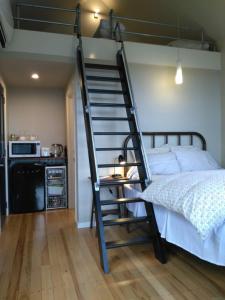 a bedroom with a bunk bed with a ladder at Tiny House in the Sky in Dunedin