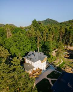 an aerial view of a house in the woods at Waldidylle Gohrisch, Pension und Ferienwohnungen in Kurort Gohrisch