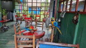 deux perroquets colorés assis sur une table dans une pièce dans l'établissement Cabañas alto del aguila, à Puerto Nariño