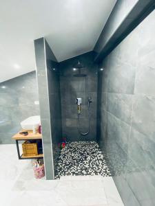 a bathroom with a shower with a sink and a shower at Apartma Teja-Dekani in Dekani +10 photos
