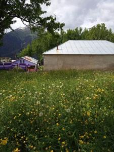 Paesaggio naturale nelle vicinanze della stanza in casa privata