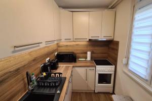 Kuchyň nebo kuchyňský kout v ubytování Kadarka apartman - Szekszárd