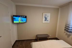 TV a/nebo společenská místnost v ubytování Kadarka apartman - Szekszárd