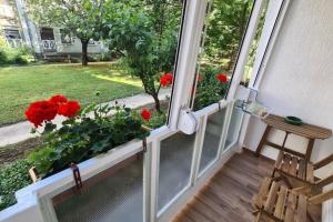Balkón alebo terasa v ubytovaní Kadarka apartman - Szekszárd