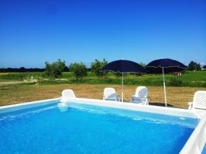 a swimming pool with chairs and umbrellas next to at Agriturismo La Nocciolina in Venturina Terme