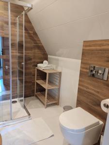 a bathroom with a toilet and a shower at Willa Seba in Zakopane +119 photos