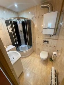 クリニツァ・ズドルイにあるApartament Kraszewskiegoのバスルーム(トイレ、洗面台、シャワー付)