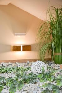 a garden of rocks and plants in a room at Hotel Meduza in Senj
