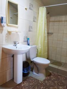 a bathroom with a sink and a toilet and a shower at Цвіт лілії in Szack +8 photos