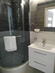 ein Bad mit einer Dusche, einem Waschbecken und einem Spiegel in der Unterkunft Dom Wypoczynkowy Abal in Jastrzębia Góra
