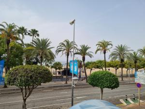eine Straße mit Palmen am Straßenrand in der Unterkunft APARTAMENTO PRIMERA LINEA MAR CAMBRILS cerca PUERTO in Cambrils