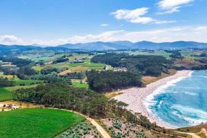 an aerial view of a beach and the ocean at Apartamento Loft in Navia +23 photos