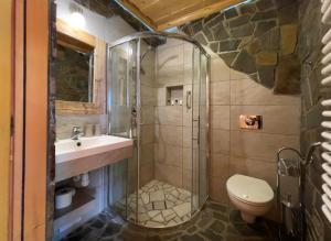 a bathroom with a shower and a sink and a toilet at Pensjonat u Ani in Zakopane
