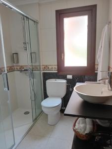 ein Badezimmer mit Toilette, Dusche und Waschbecken in der Unterkunft Easo Terrace Apartment free private parking and air conditioning in San Sebastián + 14 Fotos