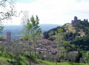 ein Dorf auf einem Hügel mit einem Schloss in der Unterkunft Nice Assisi in Assisi