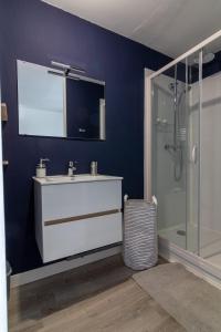 un baño con lavabo y ducha en DUPLEX LE SAINT JEAN, en Saumur