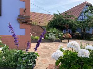 a garden with flowers in front of a house at Le nid de cigognes in Menchhoffen