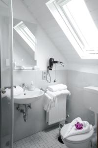 bagno con lavandino, servizi igienici e lucernario. di Gästehaus Edith, 4-Sterne, 2-4 Personen a Trittenheim