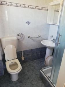a bathroom with a toilet and a sink at Apartman G&L in Grebaštica